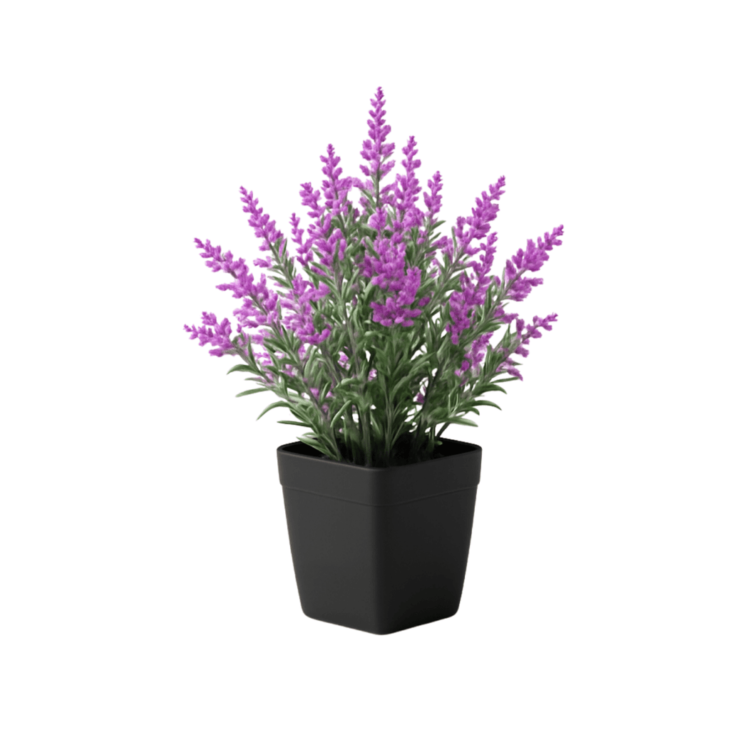 Artificial Lavender Plant in Pot – Modern Touch, Zero Care - BAO