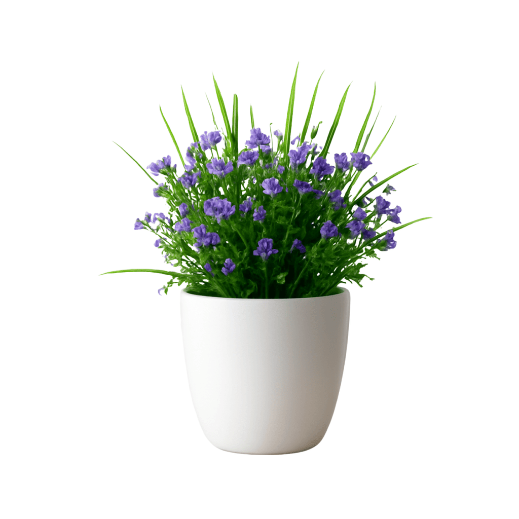 Artificial Mini Plant in Pot – Fresh Look, Zero Maintenance - BAO