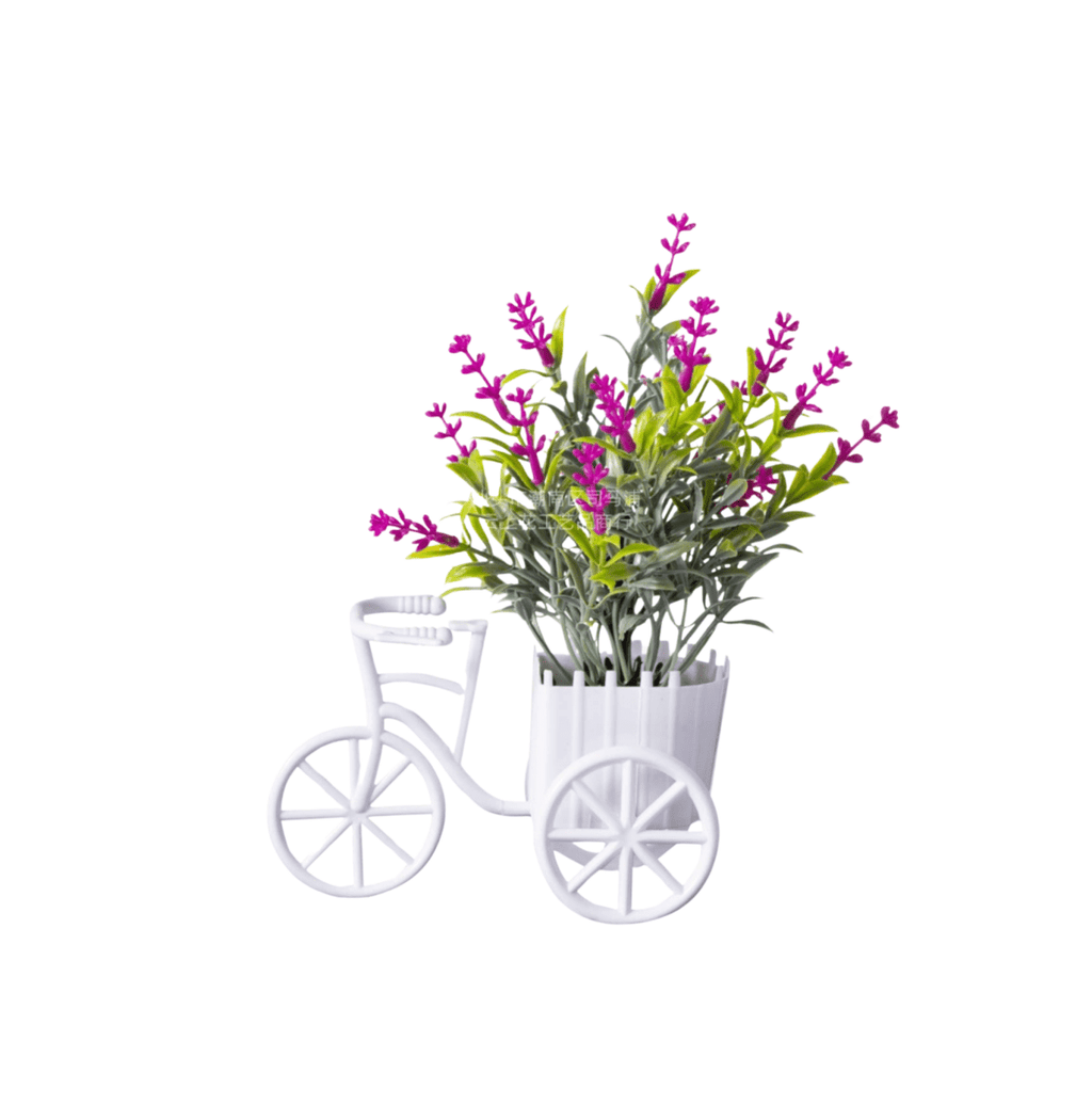 Decorative Tricycle Flower Pot - BAO